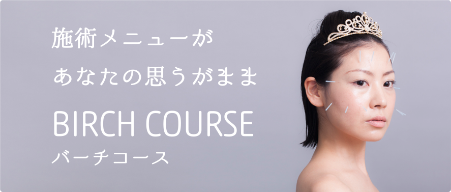 施術メニューがあなたの思うがままバーチコース