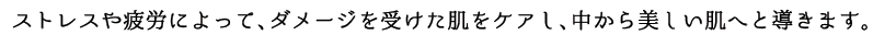ストレスや疲労によってダメージを受けた肌をケアし中から美しい肌へと導きます