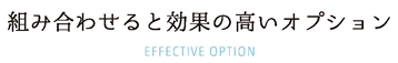 組み合わせると効果の高いオプション